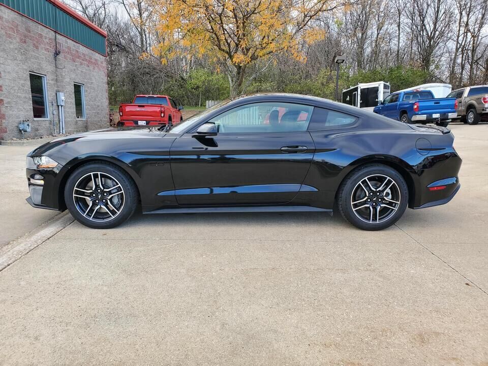 2019 Ford Mustang  - Nelson Automotive